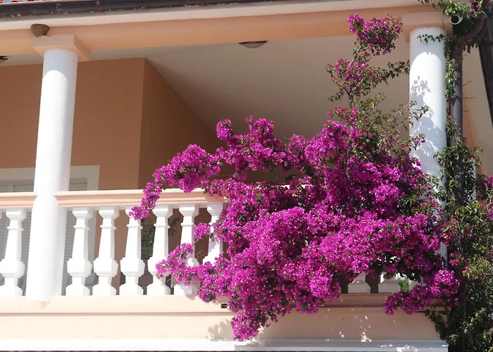 Appartement Olive House