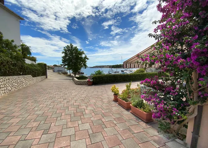 Olive House Appartement *