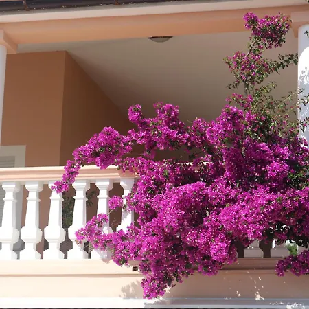 Apartamento Olive House