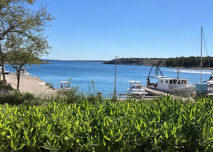 Apartamento Olive House *