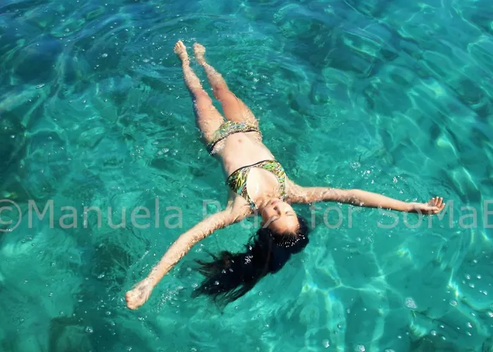 Olive House Apartamento