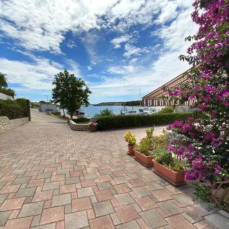 Olive House Apartament *